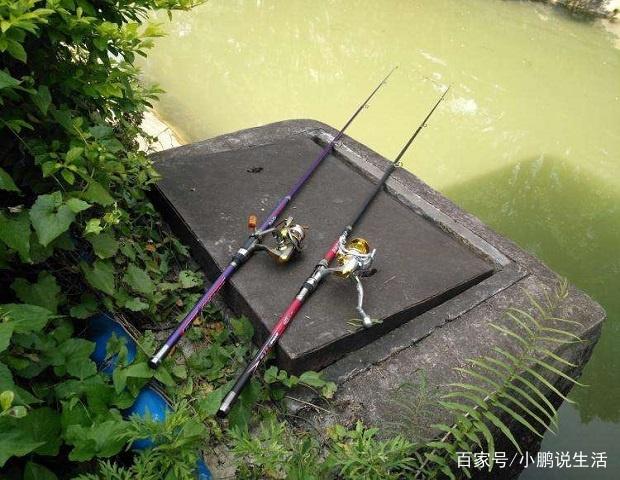 甩杆抛竿、矶钓竿、台钓竿的区别，了解他们的属性钓大鱼